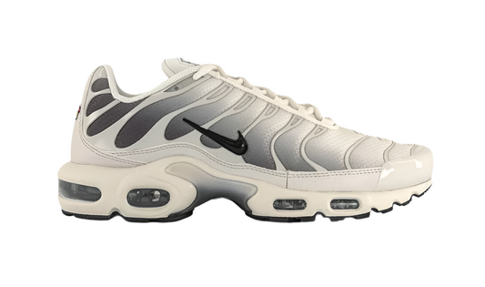 Nike air max plus