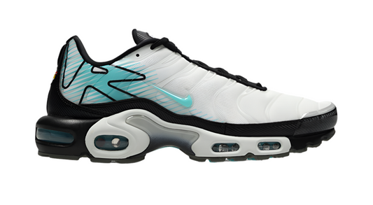 Nike air max plus