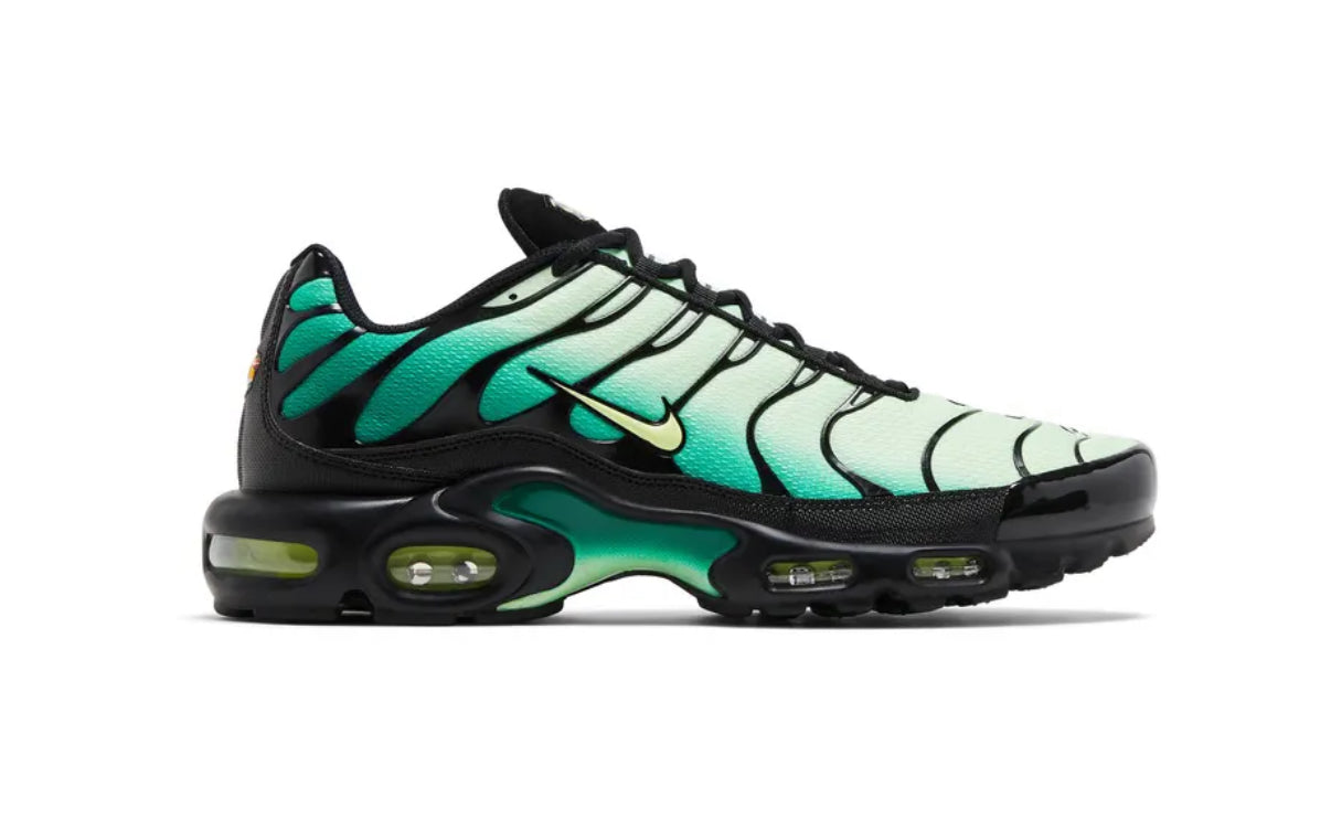 Air max plus