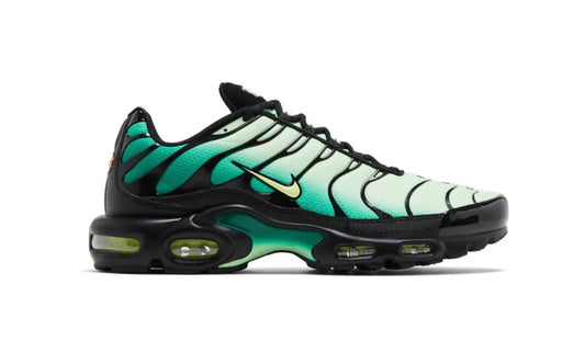 Air max plus