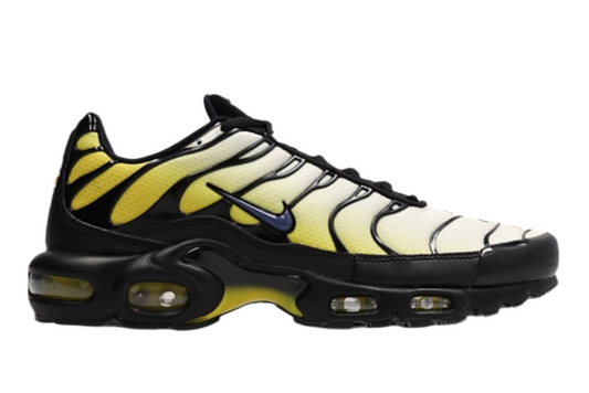 Air max plus